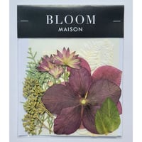 押し花｜花材セット クリスマスローズ Pressed Flower Kit インテリア・ギフト・ウェルカムボードなどのハンドメイドに　F-1054 BLOOM MAISON