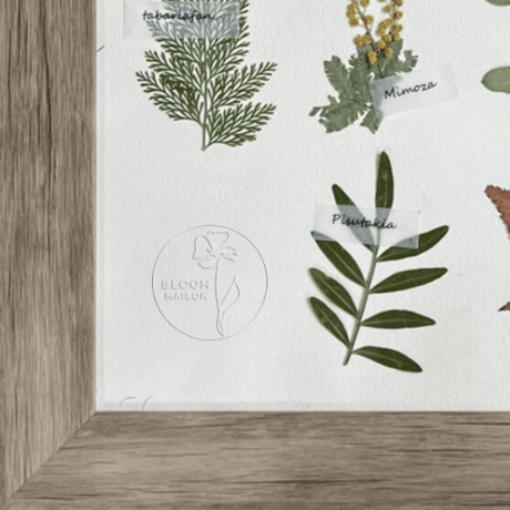 【2025年9月～12月】押し花のお教室：１Dayレッスン  植物標本