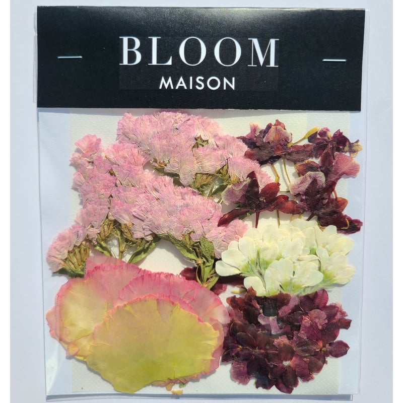 押し花｜花材セット オンシジューム Pressed Flower Kit インテリア