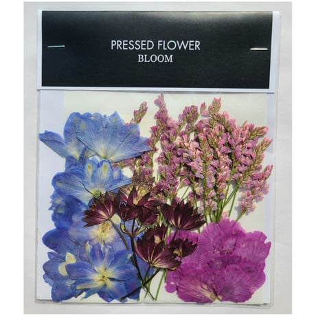 【押し花｜花材セット デルフィニウム Pressed Flower Kit ギフト・ウェルカムボードなどのハンドメイドに】F-635 BLOOM MAISON
