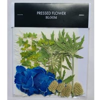 【押し花｜花材セット ブプレリウム Pressed Flower Kit ギフト・ウェルカムボードなどのハンドメイドに】F-525 BLOOM MAISON