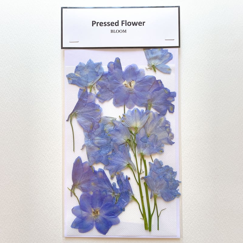 F-61 押し花|ラクスパー(青)八重 横向き | BLOOM MAISON F-61 押し花|ラクスパー(青)八重 横向き | BLOOM MAISON