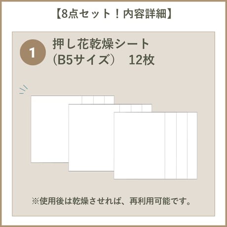【押し花初心者キット・植物標本カード】　初めての方におすすめ・庭の小花で作る押し花キット・押し花材料