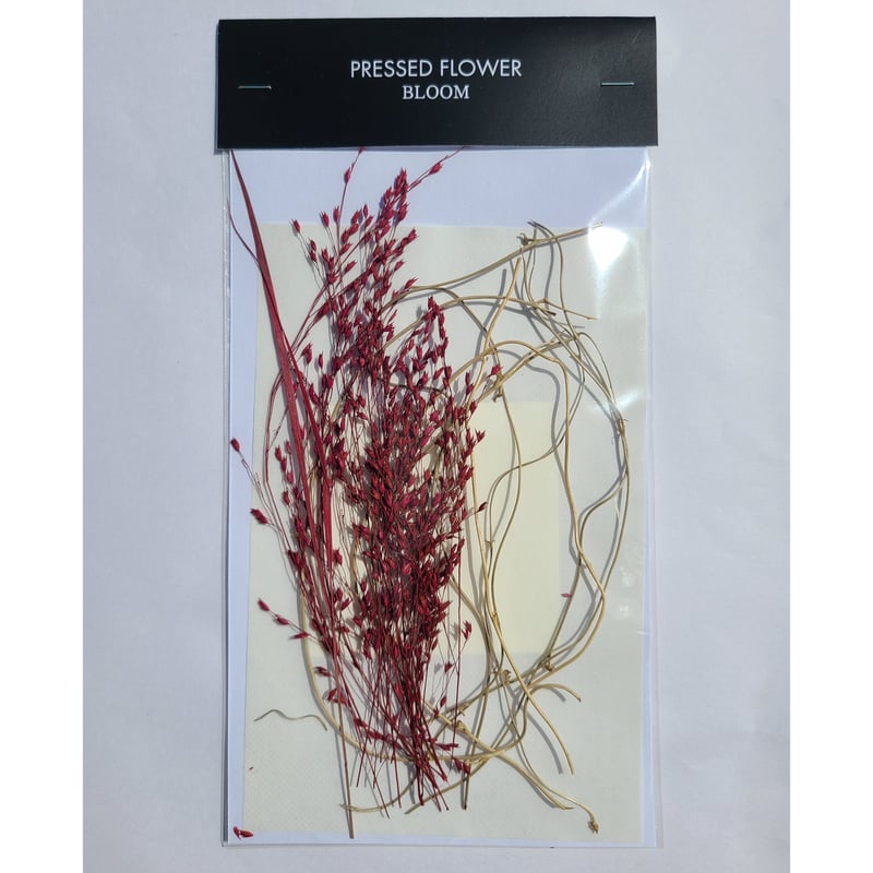 パニカム染ピンクブラウン 押し花｜花材セット 】F-299 | BLOOM