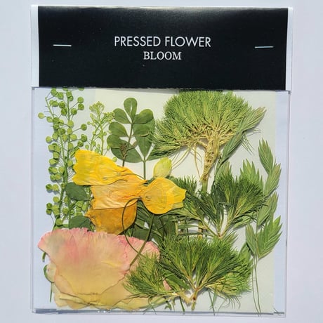 【押し花｜花材セット テマリ草 Pressed Flower Kit ギフト・ウェルカムボードなどのハンドメイドに】F-662 BLOOM MAISON