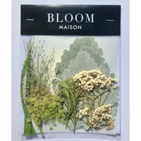 押し花｜花材セット スモークグラス Pressed Flower Kit インテリア・ギフト・ウェルカムボードなどのハンドメイドに　F-894 BLOOM MAISON