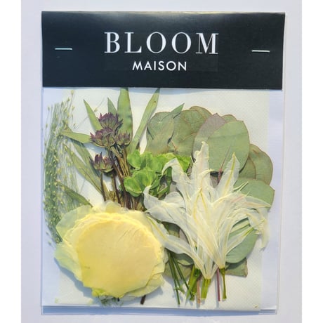 押し花｜花材セット ネリネ Pressed Flower Kit インテリア・ギフト・ウェルカムボードなどのハンドメイドに　F-1064 BLOOM MAISON