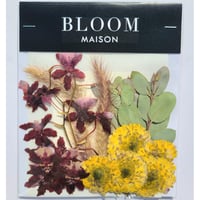 押し花｜花材セット スプレーマム Pressed Flower Kit インテリア・ギフト・ウェルカムボードなどのハンドメイドに　F-947 BLOOM MAISON