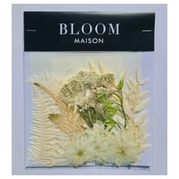 押し花｜花材セット ラクスパー Pressed Flower Kit インテリア・ギフト・ウェルカムボードなどのハンドメイドに　F-1071 BLOOM MAISON
