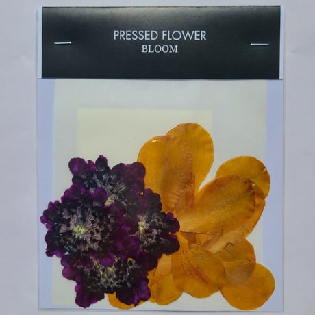 CATEGORY 押し花素材 | BLOOM MAISON