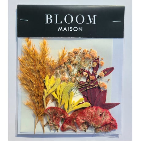 押し花｜花材セット カンガルーポー Pressed Flower Kit インテリア・ギフト・ウェルカムボードなどのハンドメイドに　F-824 BLOOM MAISON