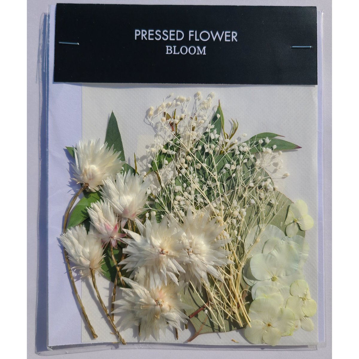 押し花｜花材セット プリザーブドフラワー かすみ草 Pressed Flower