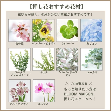 【押し花初心者キット・植物標本カード】　初めての方におすすめ・庭の小花で作る押し花キット・押し花材料