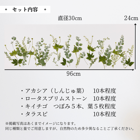 押し花素材（ブルーミングケーキ）ナチュラル系　送料込み