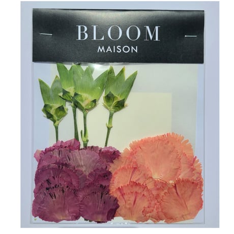 押し花｜花材セット カーネーション Pressed Flower Kit インテリア・ギフト・ウェルカムボードなどのハンドメイドに　F-985 BLOOM MAISON
