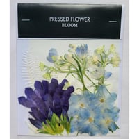 【押し花｜花材セット リンドウ Pressed Flower Kit ギフト・ウェルカムボードなどのハンドメイドに】F-528 BLOOM MAISON