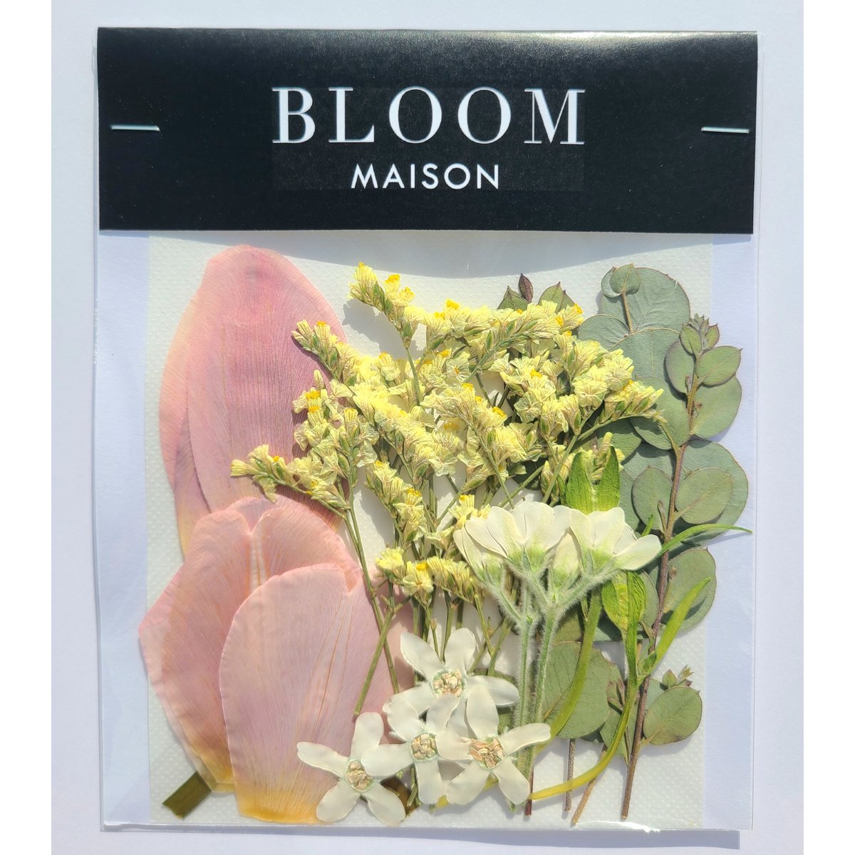 押し花｜花材セット チューリップ Pressed Flower Kit インテリア