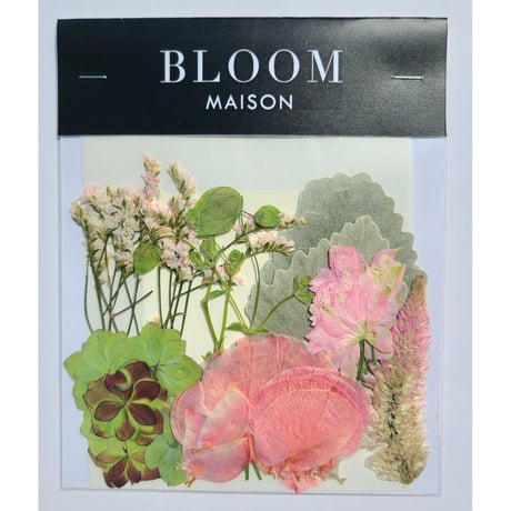 押し花｜花材セット ラクスパー Pressed Flower Kit インテリア・ギフト・ウェルカムボードなどのハンドメイドに　F-1038 BLOOM MAISON