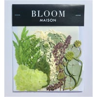 押し花｜花材セット 丹頂アリウム Pressed Flower Kit インテリア・ギフト・ウェルカムボードなどのハンドメイドに　F-1000 BLOOM MAISON