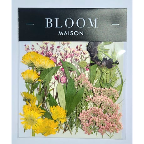 押し花｜花材セット スカビオサ Pressed Flower Kit インテリア・ギフト・ウェルカムボードなどのハンドメイドに　F-1076 BLOOM MAISON