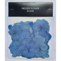 【押し花｜花材セット あじさい ブルー Pressed Flower Kit ギフト・ウエルカムボードなどのハンドメイドに】F-478 BLOOM MAISON