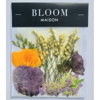 押し花｜花材セット フリージア Pressed Flower Kit インテリア・ギフト・ウェルカムボードなどのハンドメイドに　F-861 BLOOM MAISON