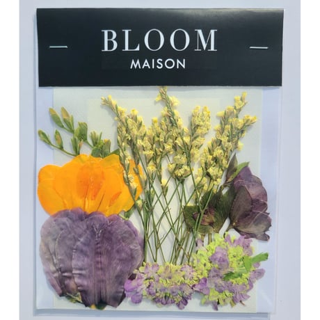 押し花｜花材セット フリージア Pressed Flower Kit インテリア・ギフト・ウェルカムボードなどのハンドメイドに　F-861 BLOOM MAISON