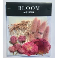 押し花｜花材セット ラグラス Pressed Flower Kit インテリア・ギフト・ウェルカムボードなどのハンドメイドに　F-835 BLOOM MAISON