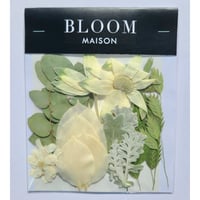 押し花｜花材セット フランネルフラワー Pressed Flower Kit インテリア・ギフト・ウェルカムボードなどのハンドメイドに　F-954 BLOOM MAISON