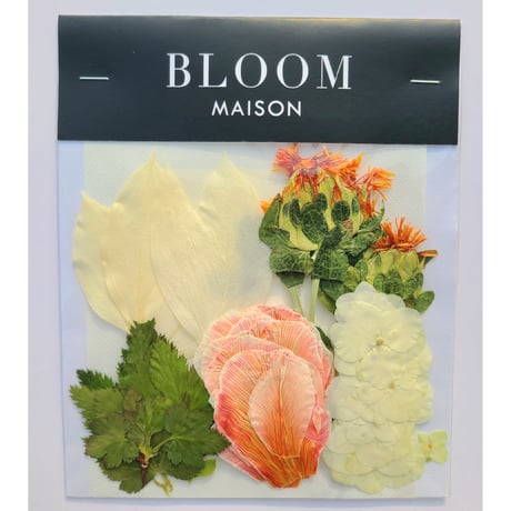 押し花｜花材セット イタリアンルスカス Pressed Flower Kit インテリア・ギフト・ウェルカムボードなどのハンドメイドに　F-877 BLOOM MAISON