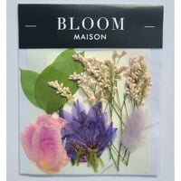 押し花｜花材セット ラグラス Pressed Flower Kit インテリア・ギフト・ウェルカムボードなどのハンドメイドに　F-858 BLOOM MAISON