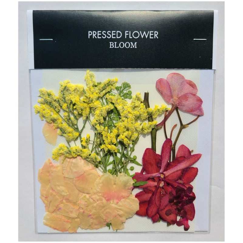 押し花｜花材セット モカラ Pressed Flower Kit ギフト・ウェルカム