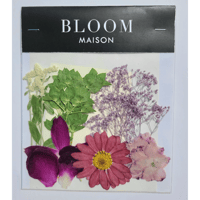 押し花｜花材セット マーガレット ピンク Pressed Flower Kit インテリア・ギフト・ウェルカムボードなどのハンドメイドに　F-1040 BLOOM MAISON