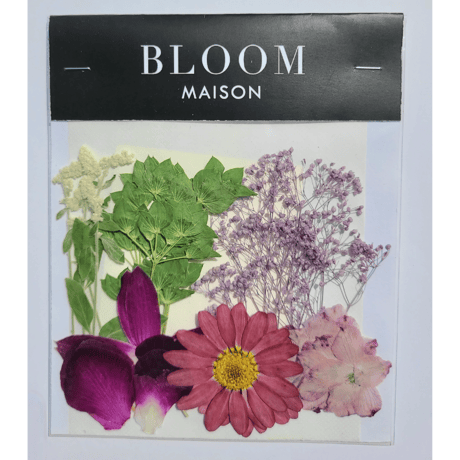 押し花｜花材セット マーガレット ピンク Pressed Flower Kit インテリア・ギフト・ウェルカムボードなどのハンドメイドに　F-1040 BLOOM MAISON