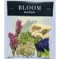 押し花｜花材セット エリカ Pressed Flower Kit インテリア・ギフト・ウェルカムボードなどのハンドメイドに　F-940 BLOOM MAISON