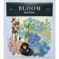押し花｜花材セット 桜 Pressed Flower Kit インテリア・ギフト・ウェルカムボードなどのハンドメイドに　F-961 BLOOM MAISON