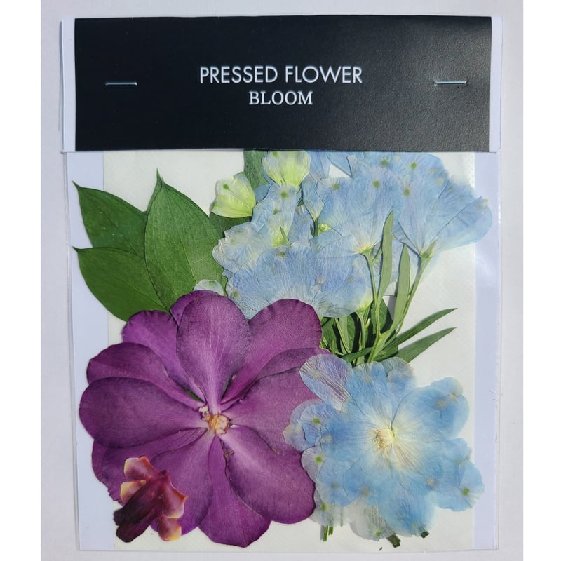 押し花｜花材セット モカラ Pressed Flower Kit ギフト・ウエルカム
