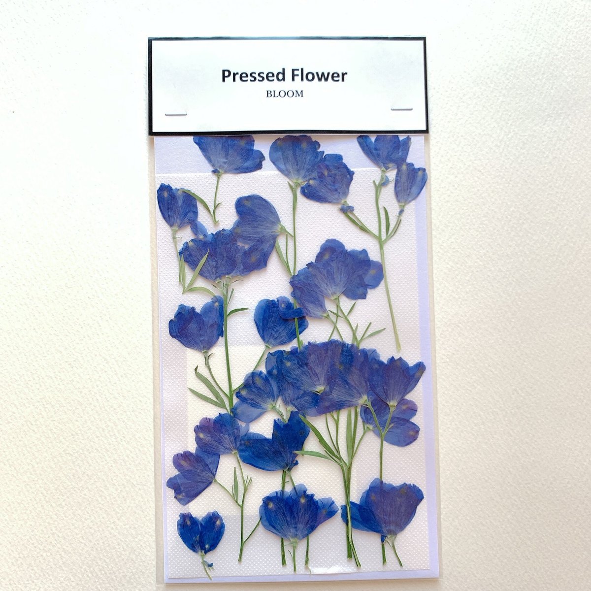 F-86 押し花｜デルフィニウム(青) 横向き | BLOOM MAISON
