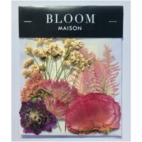 押し花｜花材セット セダム Pressed Flower Kit インテリア・ギフト・ウェルカムボードなどのハンドメイドに　F-895 BLOOM MAISON