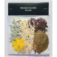 押し花｜花材セット エピデンドラム Pressed Flower Kit インテリア・ギフト・ウェルカムボードなどのハンドメイドに　F-712 BLOOM MAISON