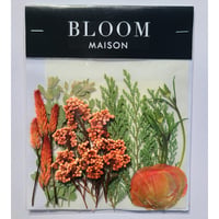 押し花｜花材セット ライスフラワー Pressed Flower Kit インテリア・ギフト・ウェルカムボードなどのハンドメイドに　F-884 BLOOM MAISON