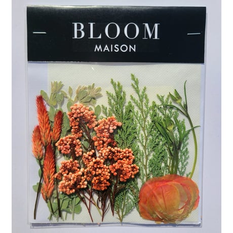 押し花｜花材セット ライスフラワー Pressed Flower Kit インテリア・ギフト・ウェルカムボードなどのハンドメイドに　F-884 BLOOM MAISON