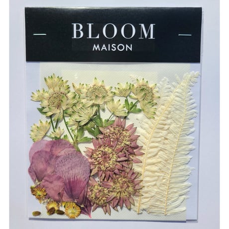 押し花｜花材セット ラナンキュラス Pressed Flower Kit インテリア・ギフト・ウェルカムボードなどのハンドメイドに　F-900 BLOOM MAISON