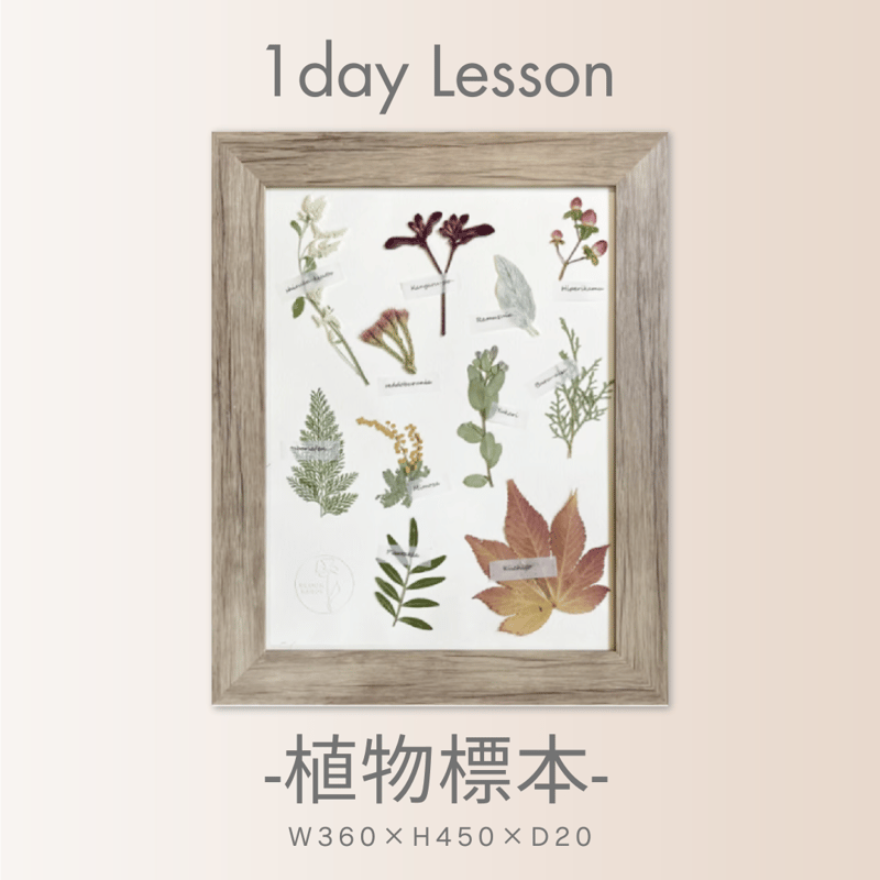 2026年1月～8月】押し花のお教室：1Dayレッスン 植物標本 | BLOOM MAISON
