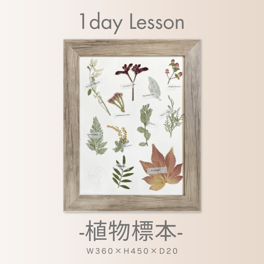 2026年1月～8月】押し花のお教室：1Dayレッスン 植物標本 | BLOOM MAISON