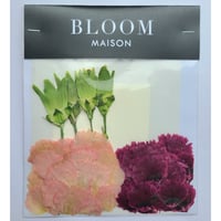 押し花｜花材セット カーネーション Pressed Flower Kit インテリア・ギフト・ウェルカムボードなどのハンドメイドに　F-968 BLOOM MAISON