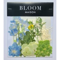 押し花｜花材セット あじさい Pressed Flower Kit インテリア・ギフト・ウェルカムボードなどのハンドメイドに　F-1020 BLOOM MAISON