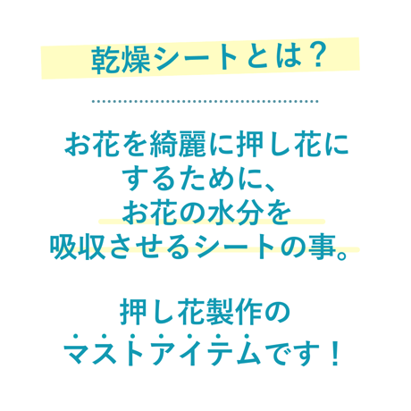 押し花初心者キット版　押し花乾燥シート  (B5サイズ)《追加購入》