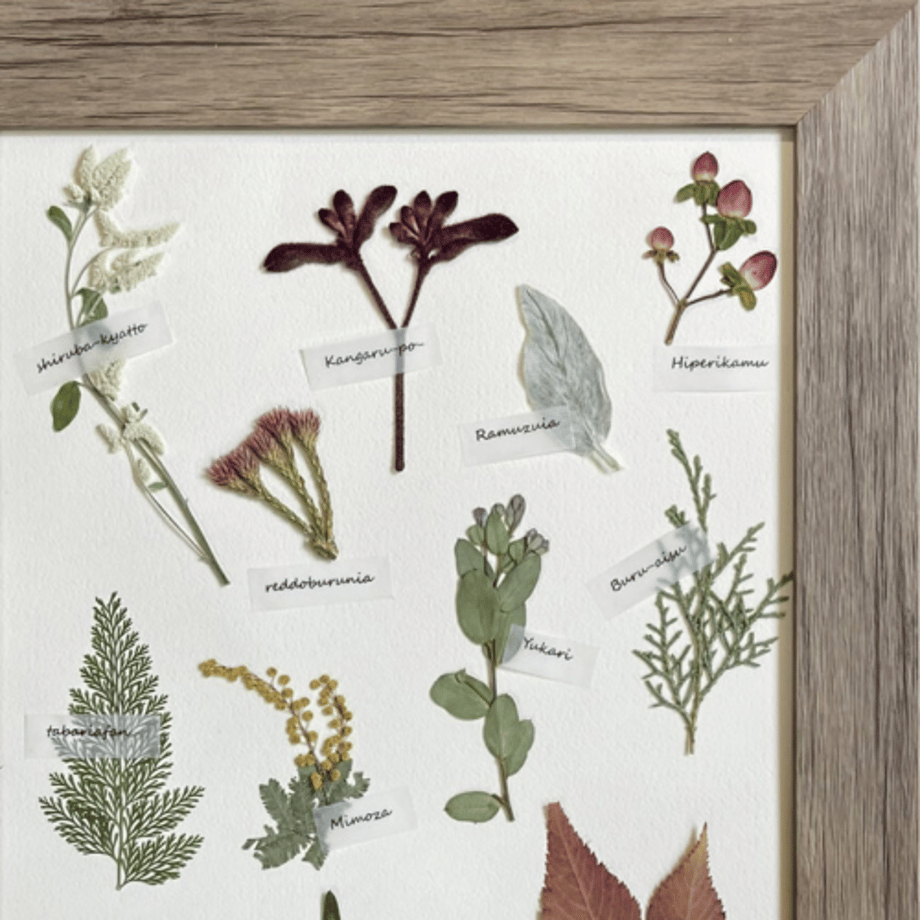 6874a8bdaf1f4abb01b155a6