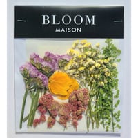押し花｜花材セット アマランサス Pressed Flower Kit インテリア・ギフト・ウェルカムボードなどのハンドメイドに　F-816 BLOOM MAISON